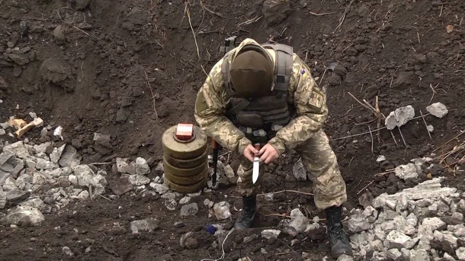 ������� �������� ��������� � ��� ����������� ���� �� ����� ����� $13 ���