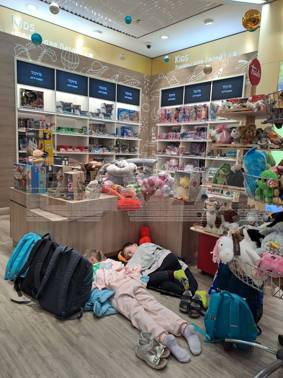 Долгая дорога домой: мощный снегопад парализовал трассы и аэропорт Шереметьево Долгая дорога домой: мощный снегопад парализовал трассы и аэропорт Шереметьево