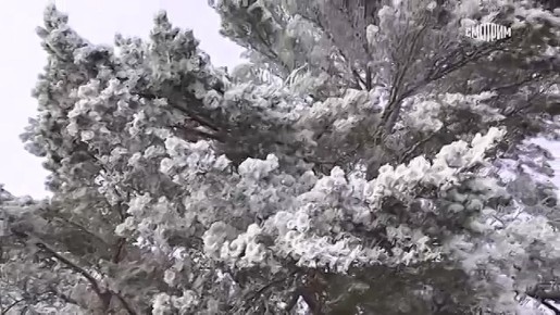 Последствия мощного циклона ликвидируют и в самом западном регионе России