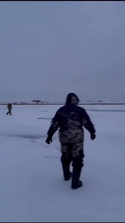 Лиса и кабан украли рыбу у праздных рыбаков