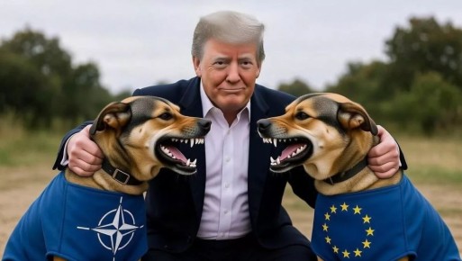 ������� �������� ����� ������ � ����