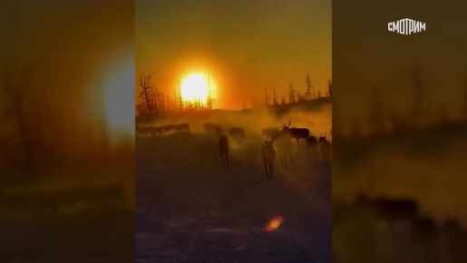 11111 ������ ������� ��������� ������ ����� 45 ���� �������� ����