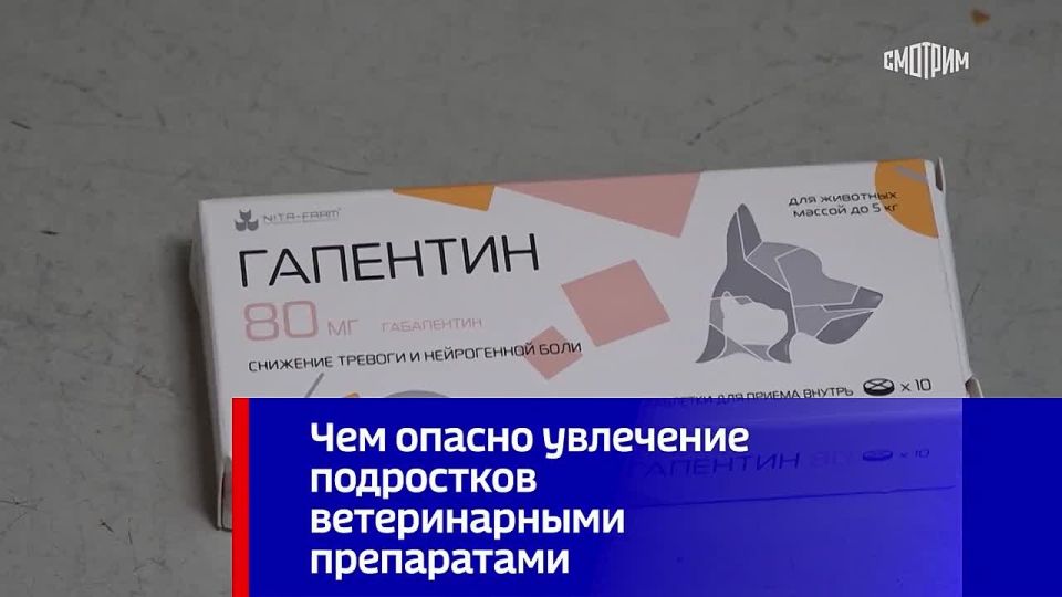 � ��������� ���������������� �����, �� ������� ��������� ������������ �� ������� �� ���������� ��� �������� � ������������