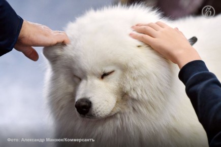 ������������� � ����������� � �������� �� ����������� � �������� �������� �������� ����� ���� ������� �������� � ������ ������ ��� � ���� ������, �� ������� ���������� ������� �� ��������