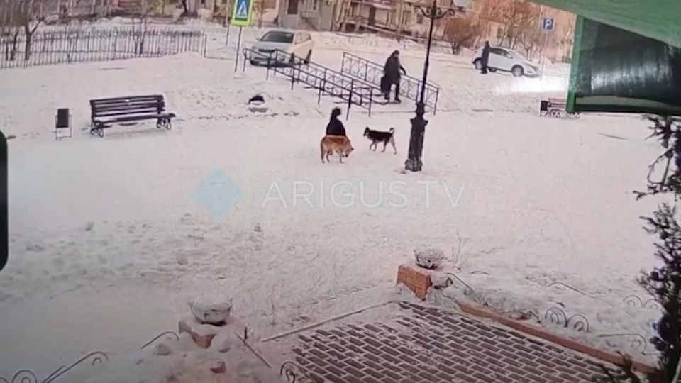 ���� ����� ������ �� ������� � ������������