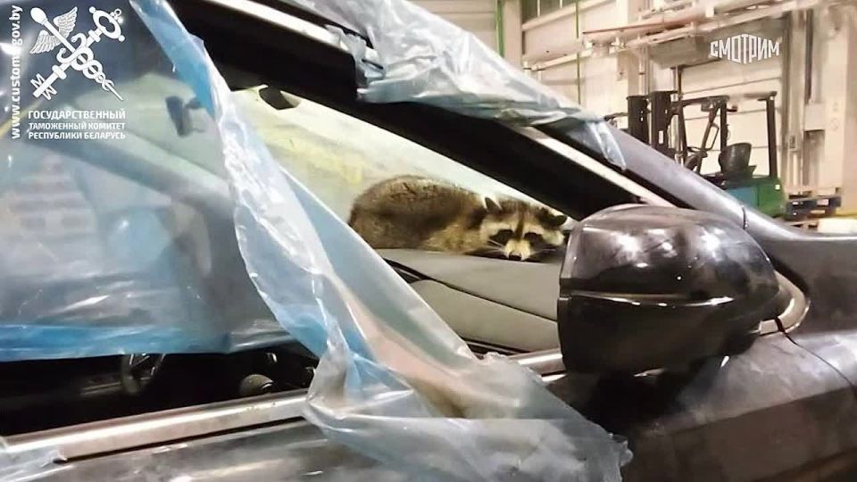 � ���������� ����������� ���������� ����� � ���������� � ��������, ������� ���������� �� ���