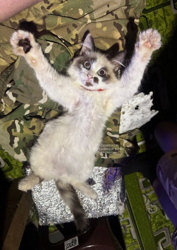 ��������� �������: � ���������, ������� � ��������