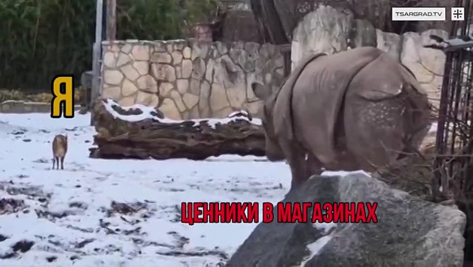 ���������� ����� � ������ ��������? � 2026 ���� ���������� ��