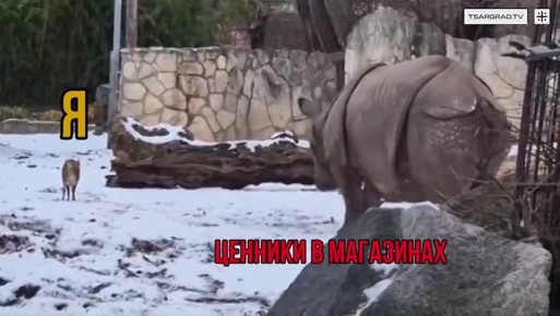 ���������� ����� � ������ ��������? � 2026 ���� ���������� ��