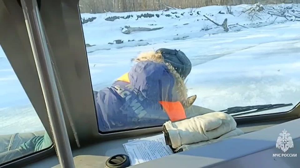 Косулю спасли сотрудники МЧС