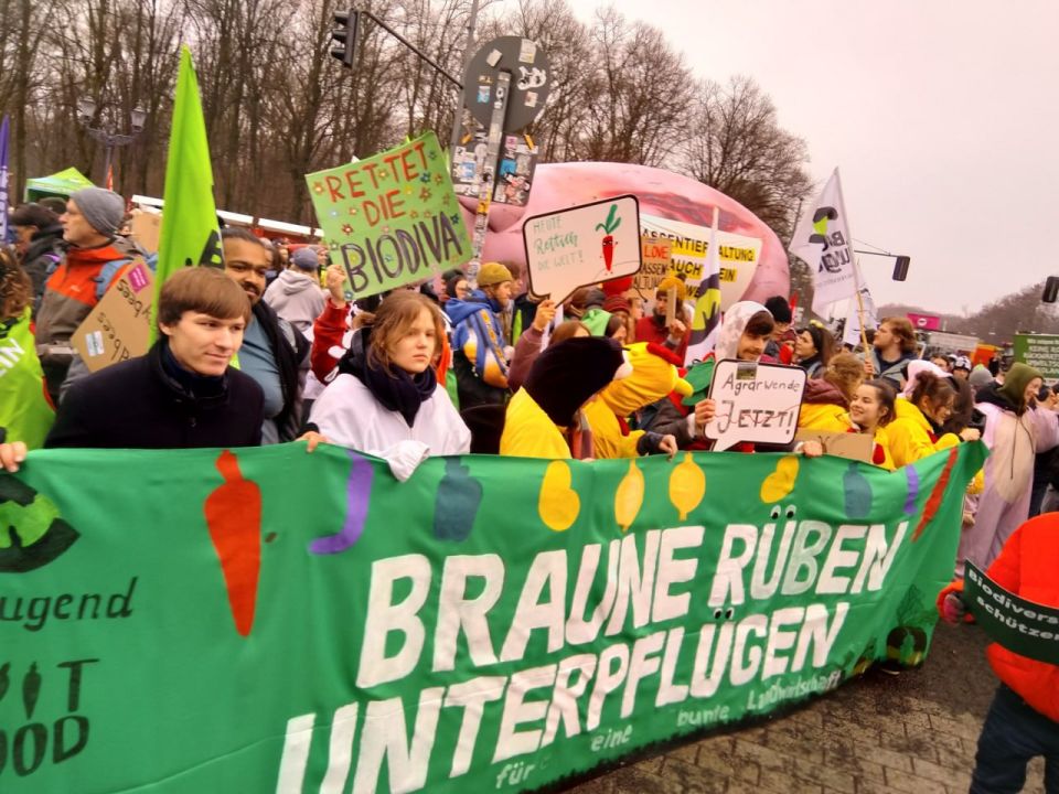 �������� ������� �������� ������ � ������ �� ����������