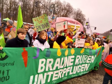 �������� ������� �������� ������ � ������ �� ����������