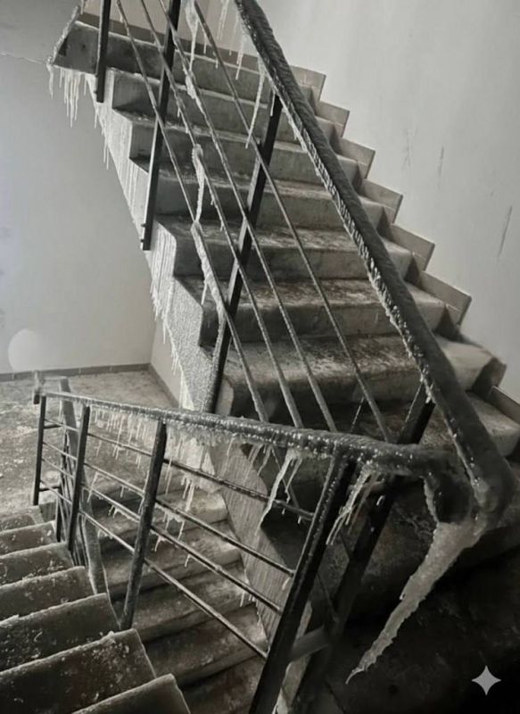 ������ ���������� �������� �������� ���: