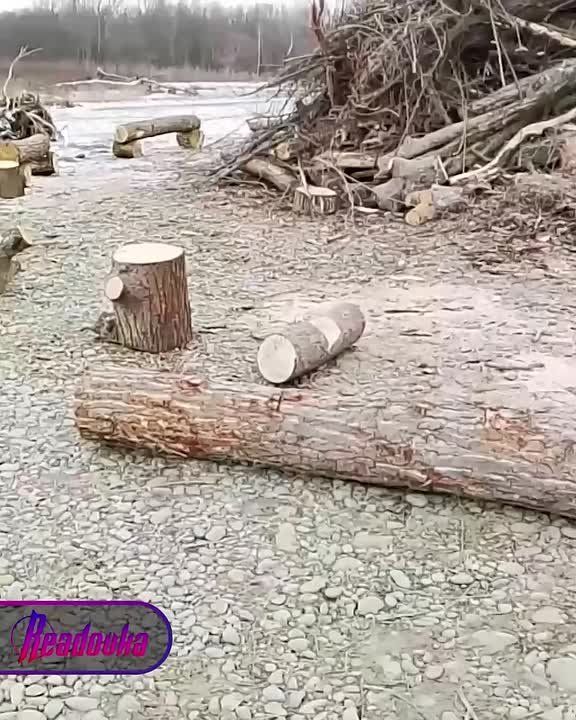 Вандалы разгромили крещенскую купель в Невинномысске