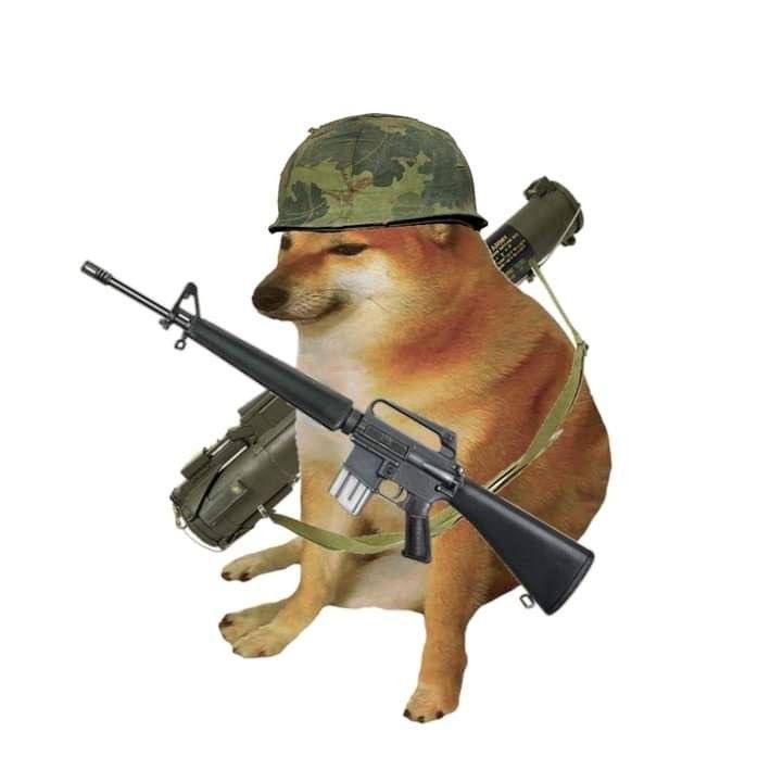 Ахтунг, ахтунг! Бундесвер досрочно свернул миссию в Гренландии