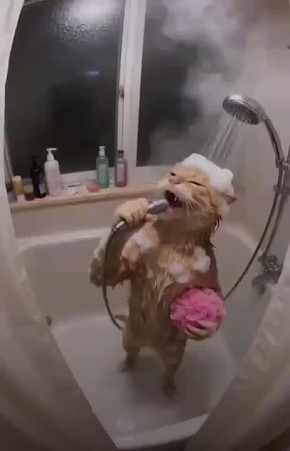 ��� �������� �� �������� ������?