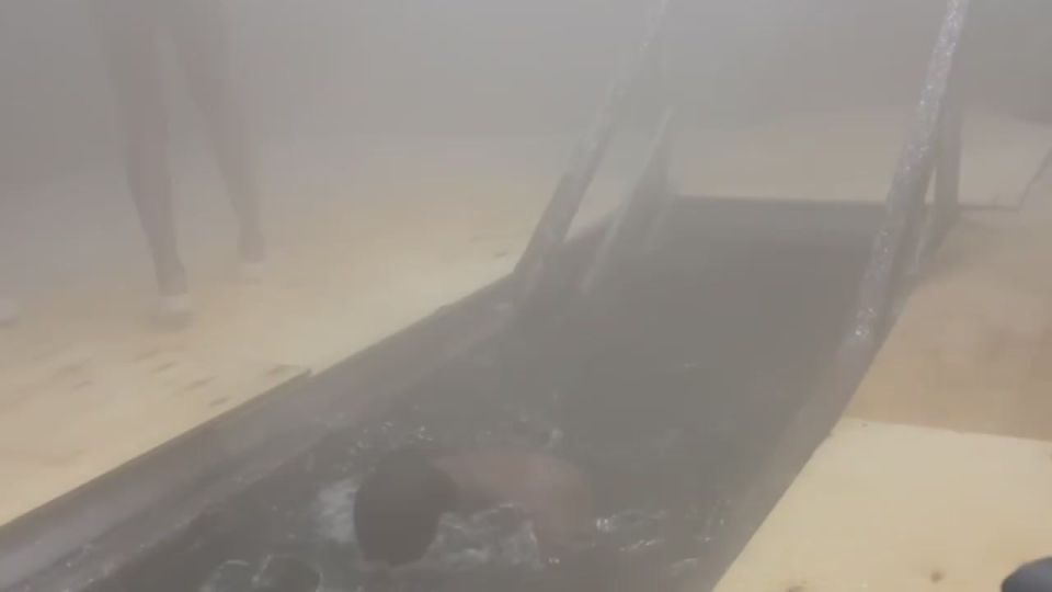 � ������� ��������� �������� ��������