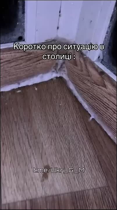 �����! � ���� �����������, ��� ������!�: �������� ��������� � ����� �����