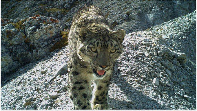 ���������� ������� ������ ������� � �������