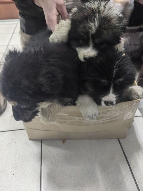 ������ ��������� � ������� � ����� ������