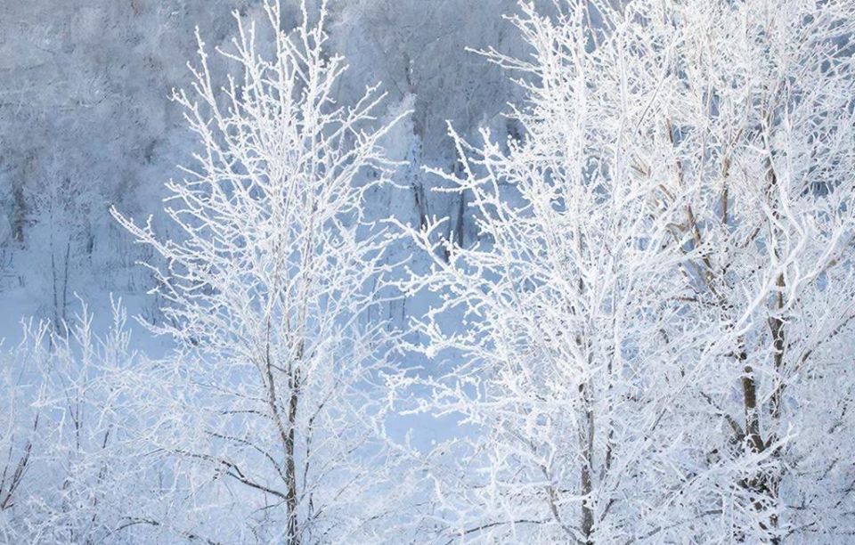 ������ � ������� ������� ��������� -50