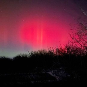 ��������. ���� ������ ��������� �������� �������