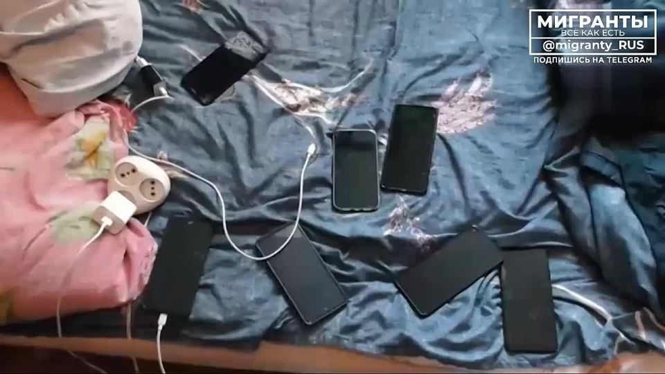 «На колени! На колени!». Двух ценных специалистов задержали силовики в ДНР