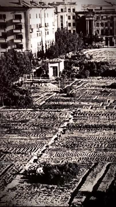 ������ ����� �����: ��� � ��������� ���������� ���� ���������� ���� ���