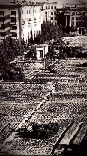 ������ ����� �����: ��� � ��������� ���������� ���� ���������� ���� ���