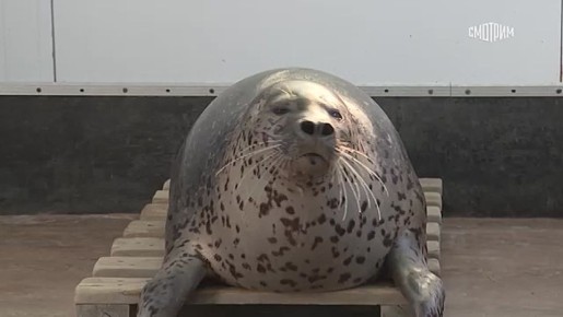 Особая музыкальная школа открылась в Приморье