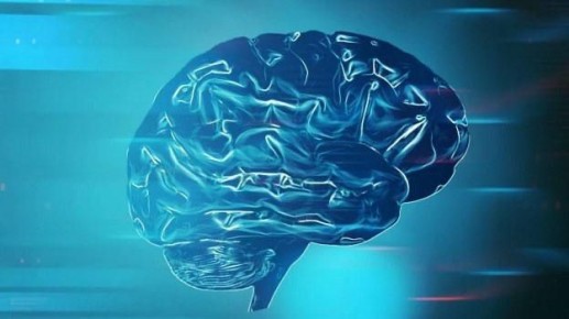 "������������� ��������� ������ ���������� ��������� �� ���� ��������"