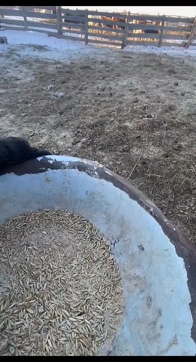 ���� �������� ��� ����������� ������� ������� ���������� �������� ����������