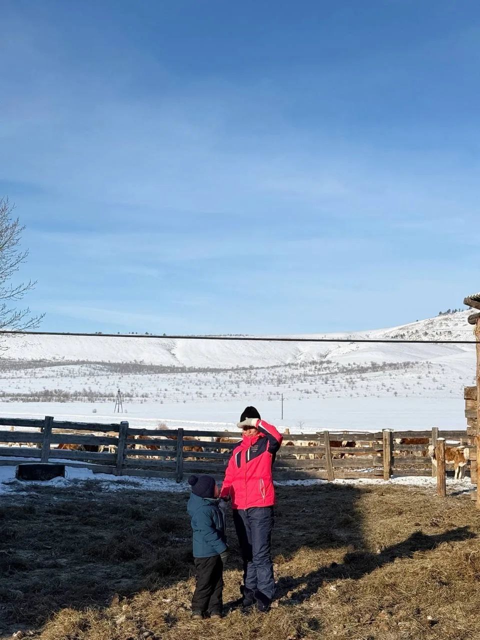 Блог ветерана СВО вдохновляет жителей Бурятии заниматься сельским хозяйством Блог ветерана СВО вдохновляет жителей Бурятии заниматься сельским хозяйством