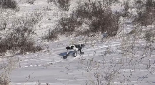 ��������� ���������� ������� ������ ��������� � 30-��������� �����