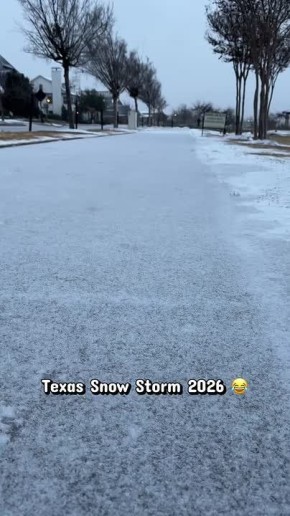 ���������� "�����" �� ������������ ������������� ��������