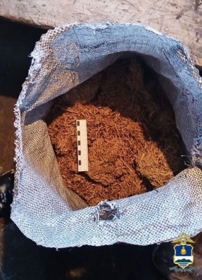 ������������ � ������� ��������� ������������� � ���������� ������� ������������� �������