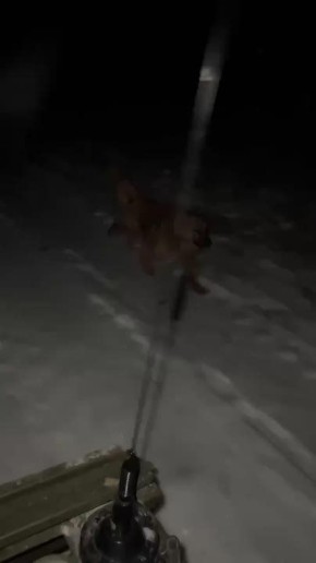 ��������� �������: �� ������ � ������� ��������� � ���� ���� �������