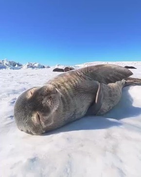 �����������: �� �������������� ������, ������� ������������ ������ � ����� ���� ������, ���� �� �����