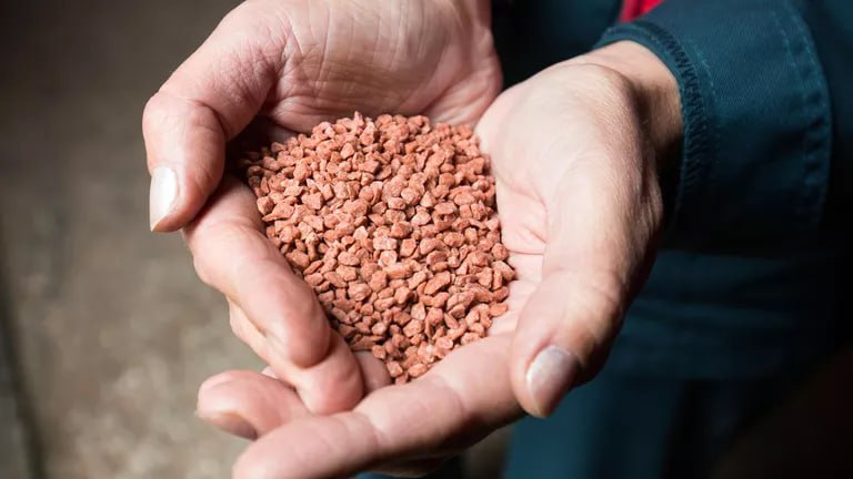 ЕС за несколько лет так и не смог найти альтернативу удобрениям из РФ