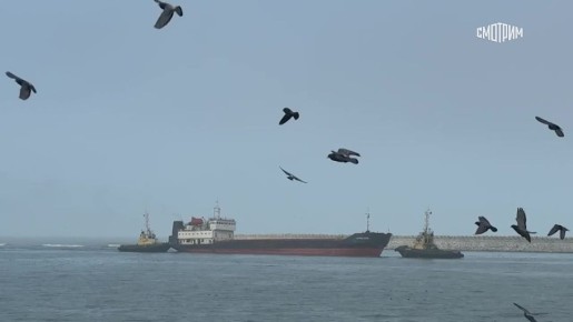 Иранский сухогруз спасли в порту Махачкалы