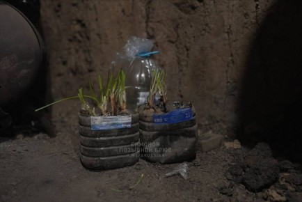 ��������� �������: ���������� �����. ����� ������� ��� ����� ��� ��������, ��� � ��� �� ������� �� �������� ��, ��� ������ ���� �������� �������