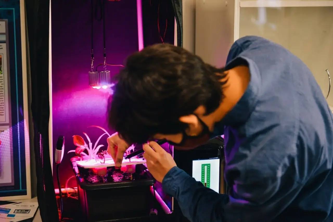 В Бурятии стартует региональный этап чемпионата «Профессионалы-2026» В Бурятии стартует региональный этап чемпионата «Профессионалы-2026»