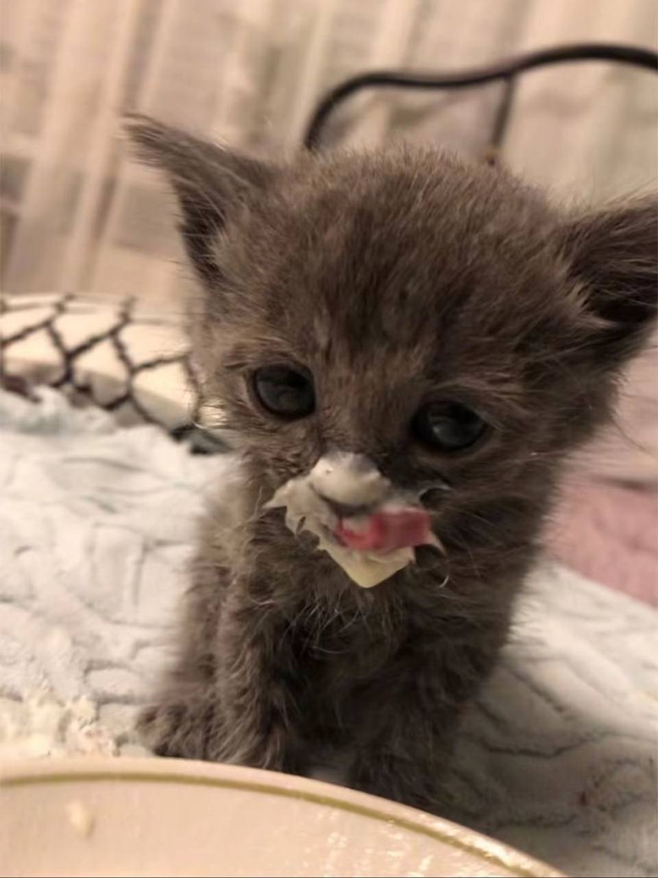 Не молоком единым. По данным Россельхознадзора, в 2025 году почти каждая пятая упаковка "молочки" на полках оказалась фальсификатом