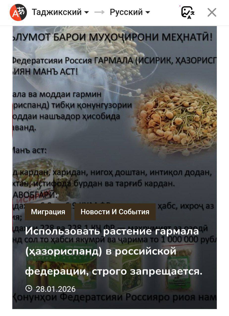 Убрать ножи: Таджикистан спохватился, когда грянул гром Убрать ножи: Таджикистан спохватился, когда грянул гром