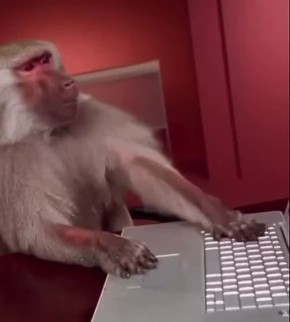 Идеи кончились. Украинское командование пошло на поклон к ChatGPT