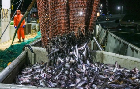 ���������� �������� �� ������ 2025 ���� ��������� ��������� ����� ��������� �� ������ �� ���������� �����