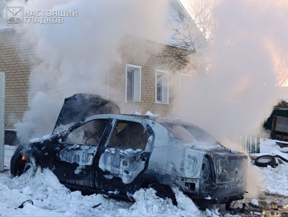 Семь человек, в том числе дети 6, 9 и 17 лет, пострадали в результате атак украинских дронов в Белгородской области