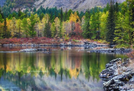 �� ������ ����������� �������������, ���� � ��� �������� "������� �����", ������� ����������� ������������� ��� ������ ����� ��������