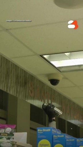 ���� � �������� ����� ���� �������� ������������ � ������ � ������� �������� �����������