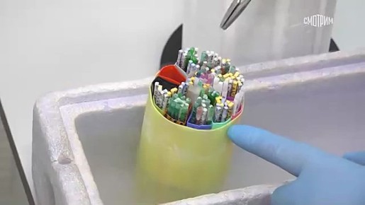 40 ��� ����������� ������� � ������ ������ ���